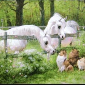 Meet your Posher, Cheryl